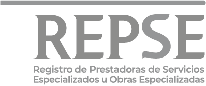 REPSE LOGO